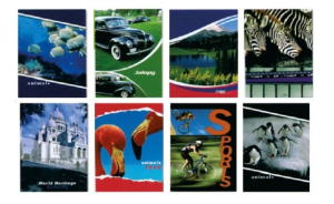 Brulion A-7 96 kartek kratka SDM