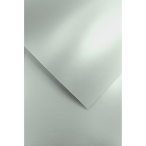 KARTON OZD.220G MILLENIUM SREBRNY A'20 200705