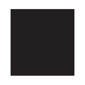SERWETKI 33*33 CZARNE SLCO 002300