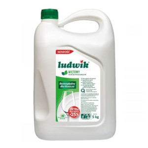 PŁYN LUDWIK 5L                       